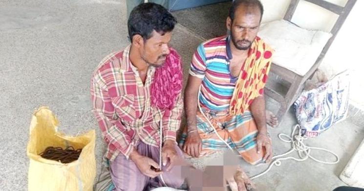 সুন্দরবন থেকে দুই হরিণ শিকারি আটক